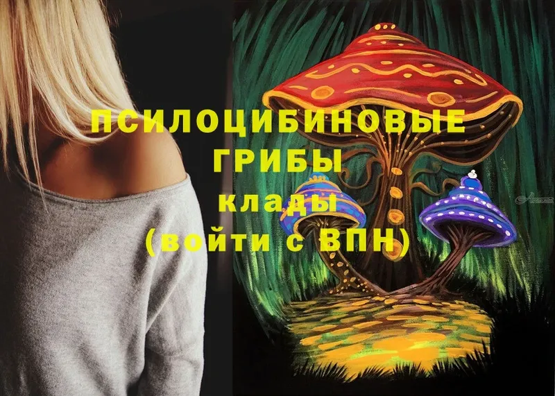 где купить наркотик  Козельск  Псилоцибиновые грибы MAGIC MUSHROOMS 